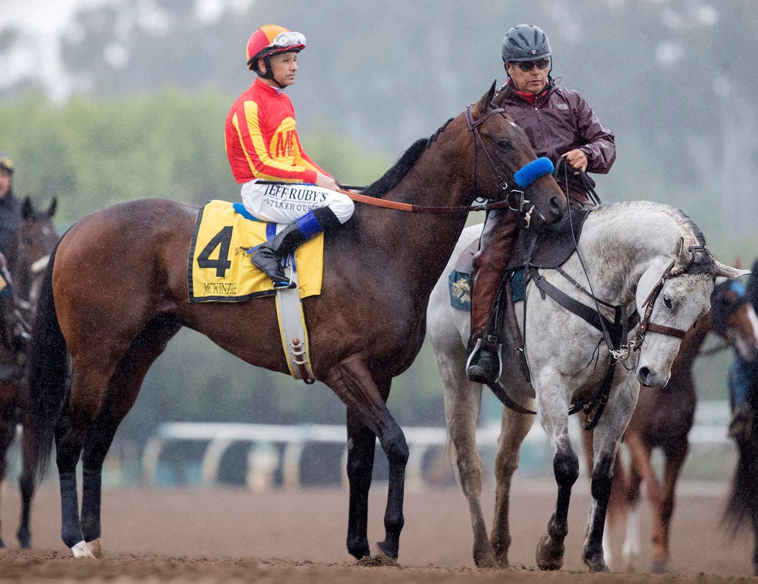 McKinzie tack-walking in preparation for return