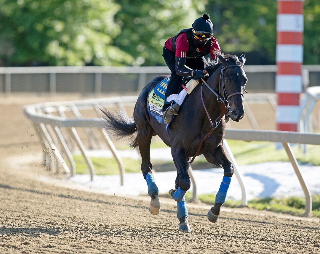 Judge orders further testing on Medina Spirit's post-race sample