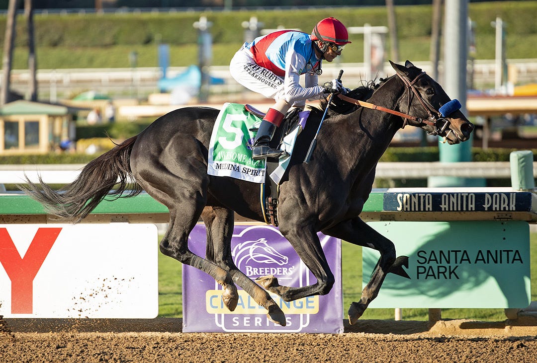 2021 Eclipse Awards: Medina Spirit