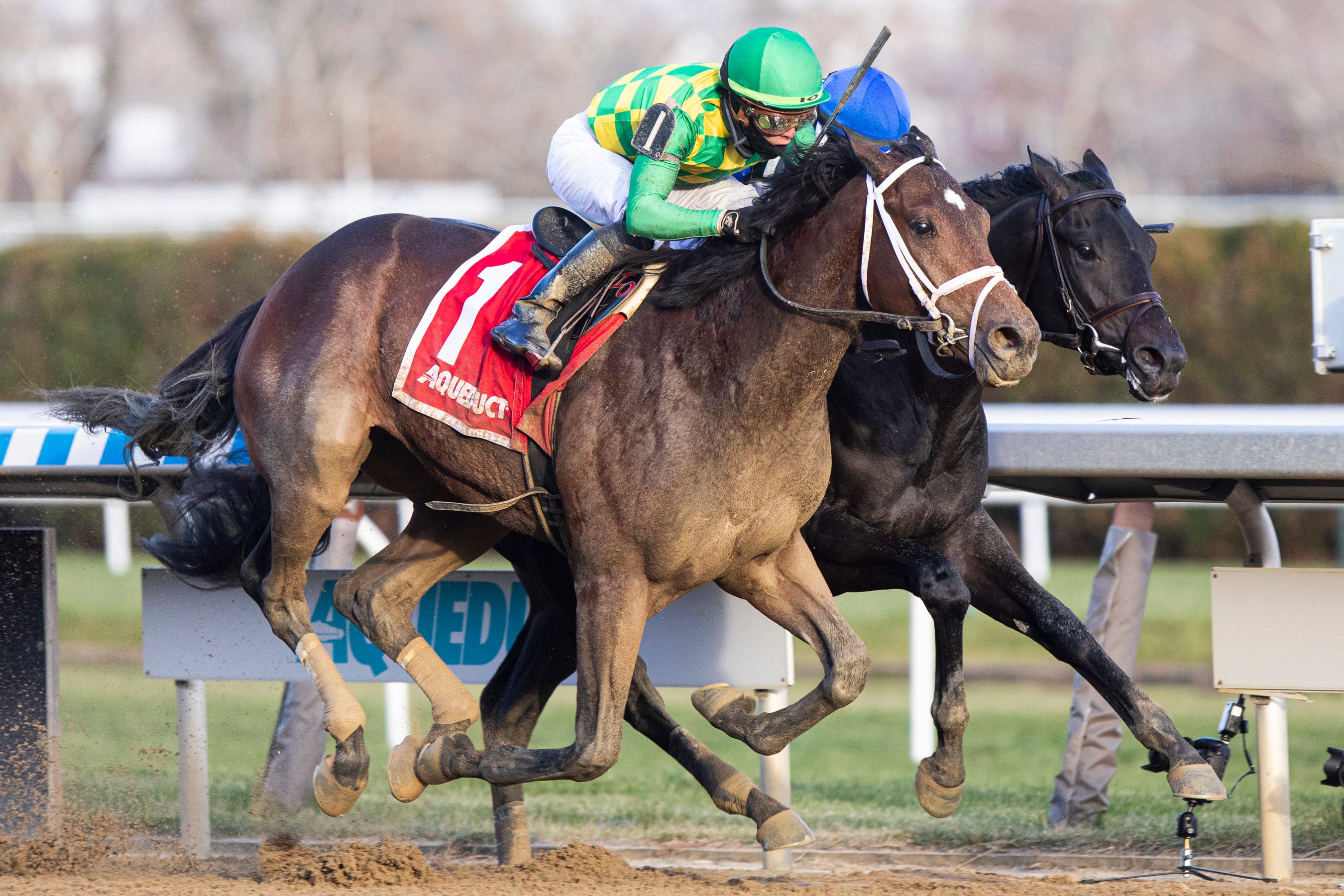 Road to the 2022 Kentucky Derby Remsen Stakes analysis