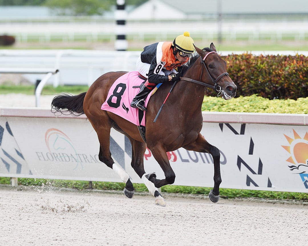 Muted a clear favorite