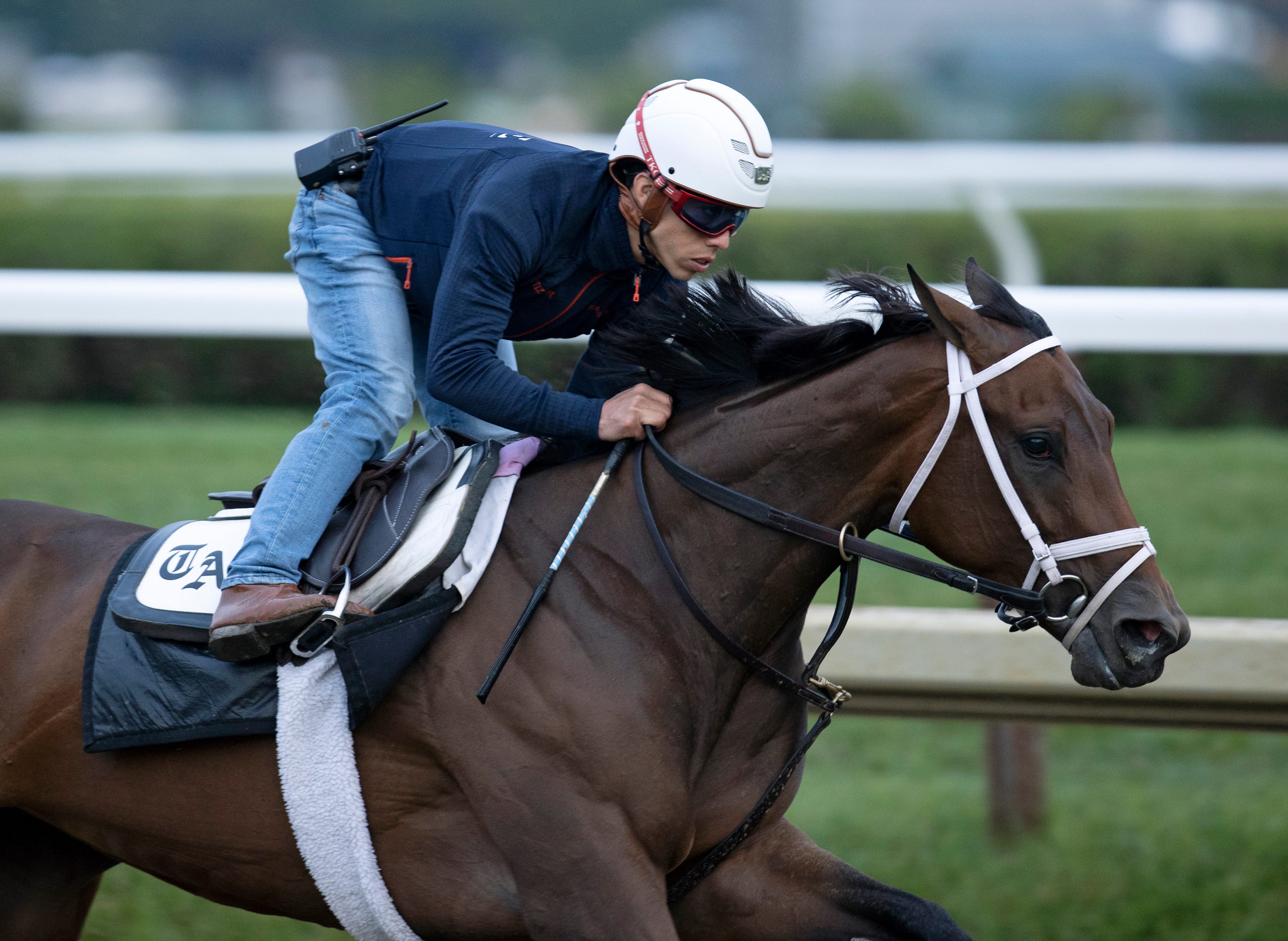 Nest drills for Coaching Club American Oaks; Corniche aims for Amsterdam