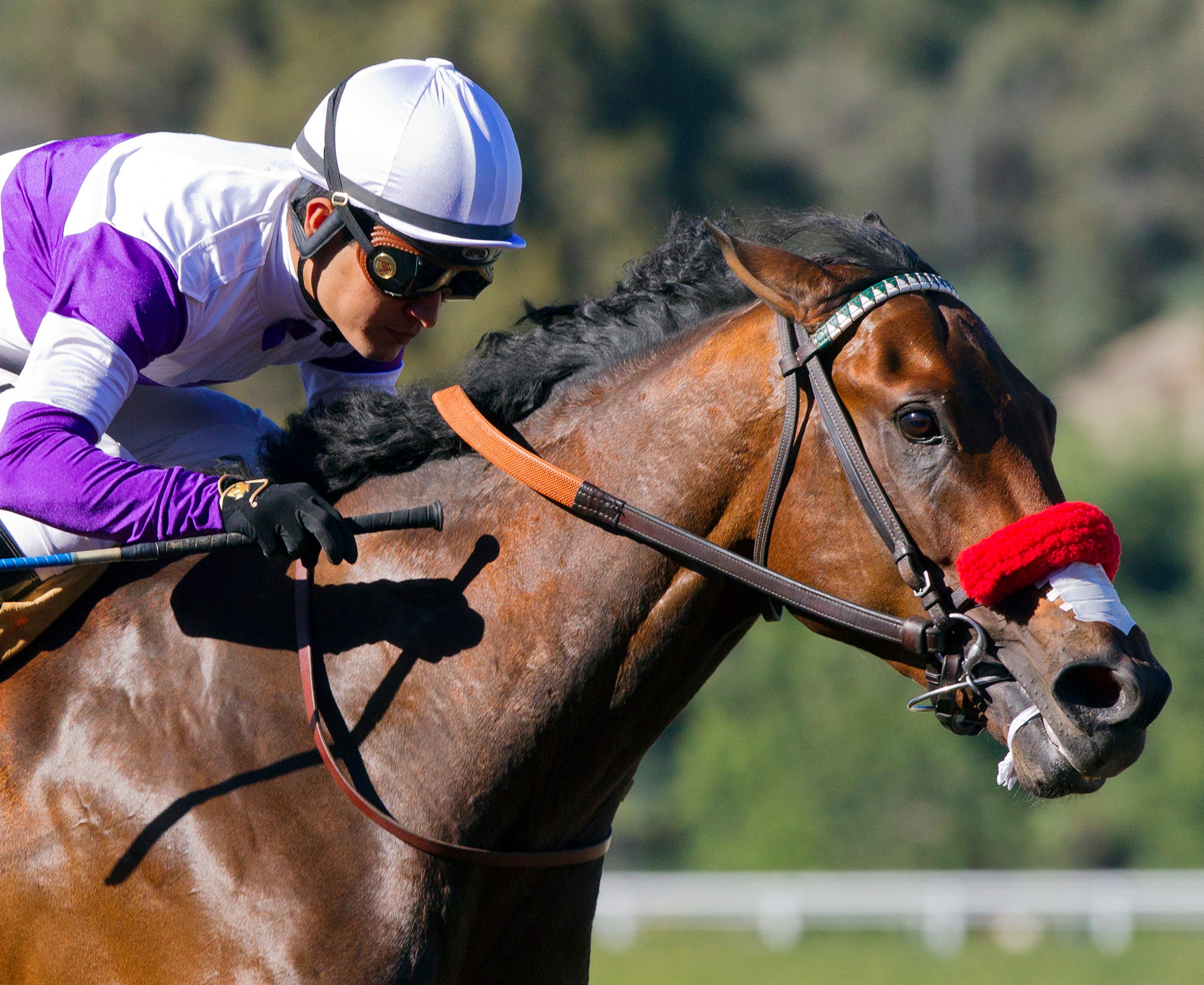 NYQUIST visual data 2