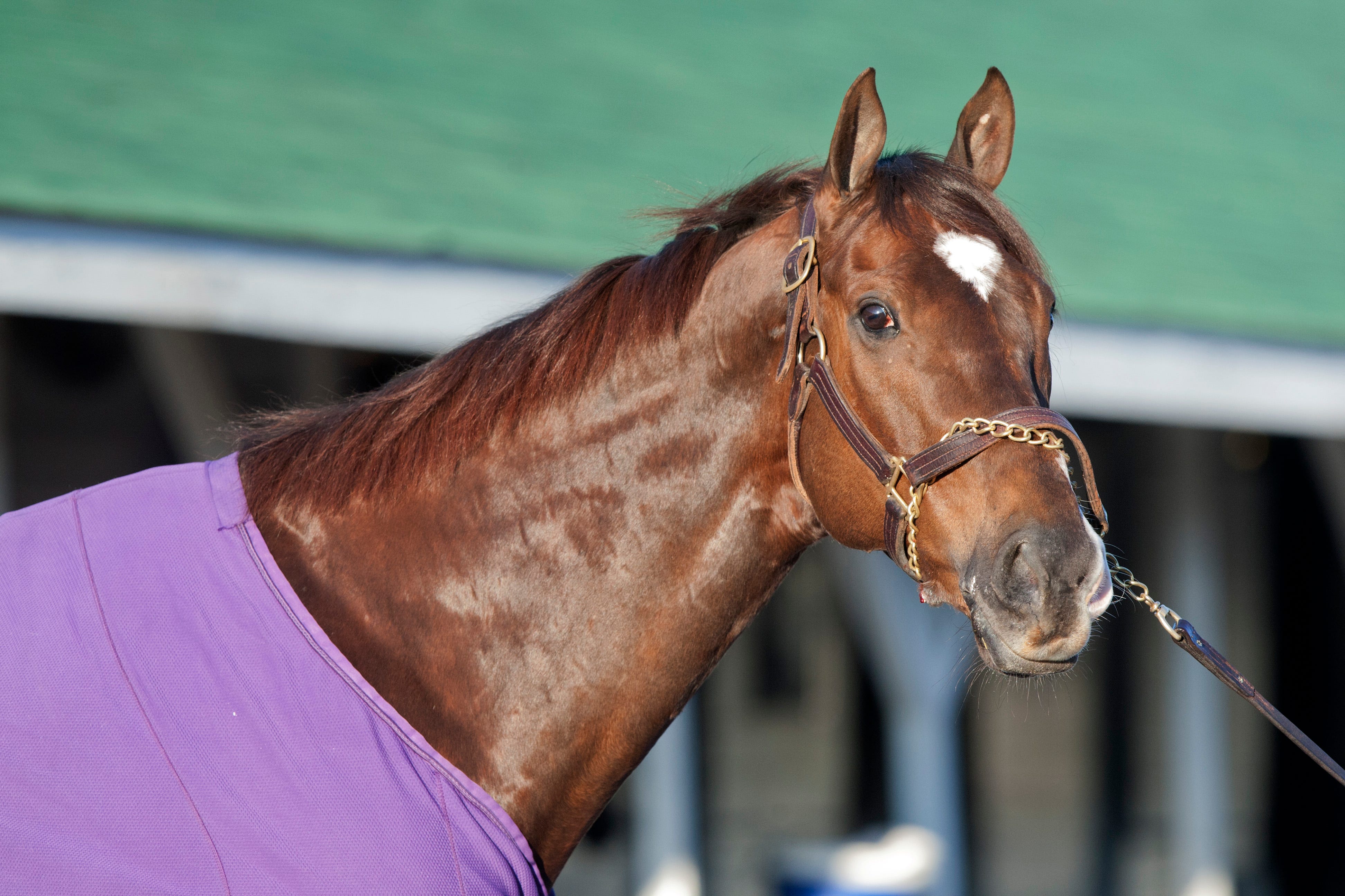 Regally Image Example Regally Ready, 8, has still got it