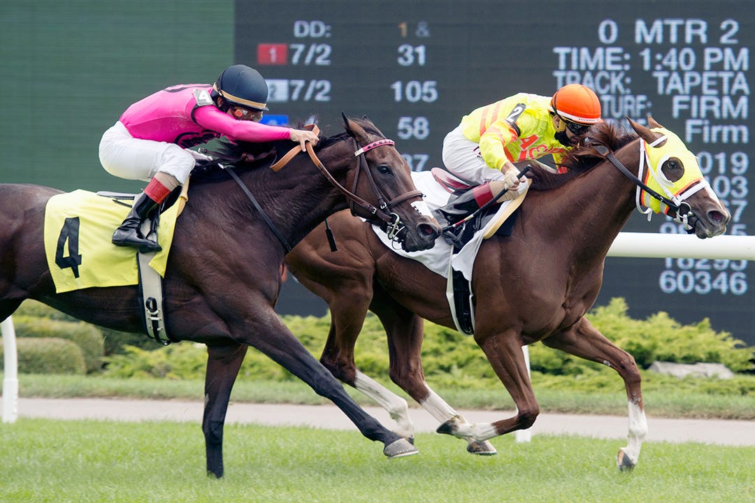 DRF's Horse Racing Playbook for Saturday, October 30, 2021
