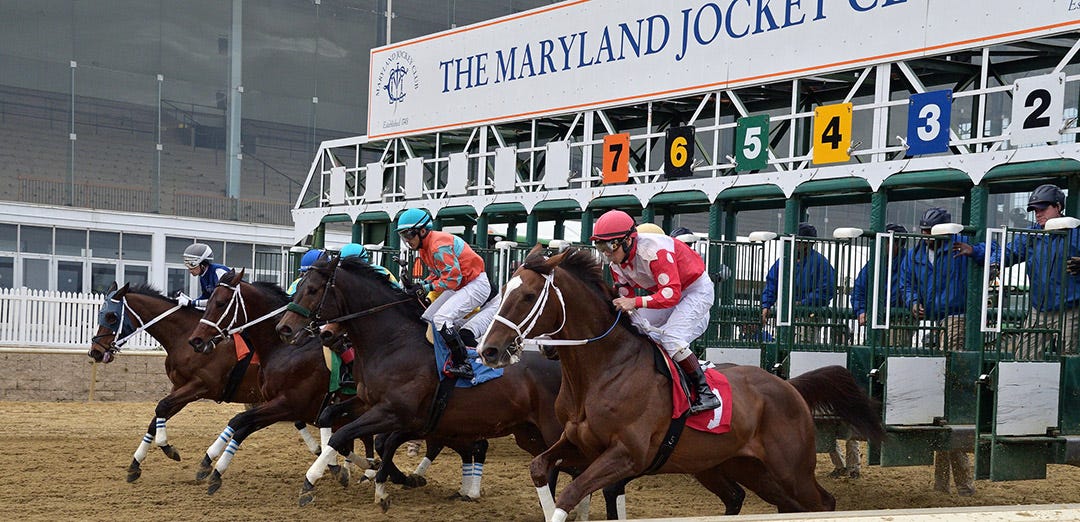 DRF's Horse Racing Playbook for Thursday,