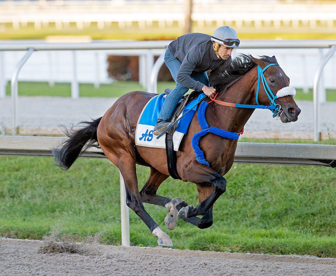 Kentucky Derby 2022 Jose Ortiz will ride Simplification