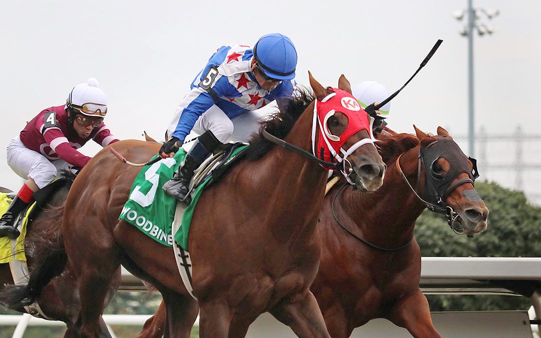 DRF's Horse Racing Playbook for Thursday, May 26, 2022