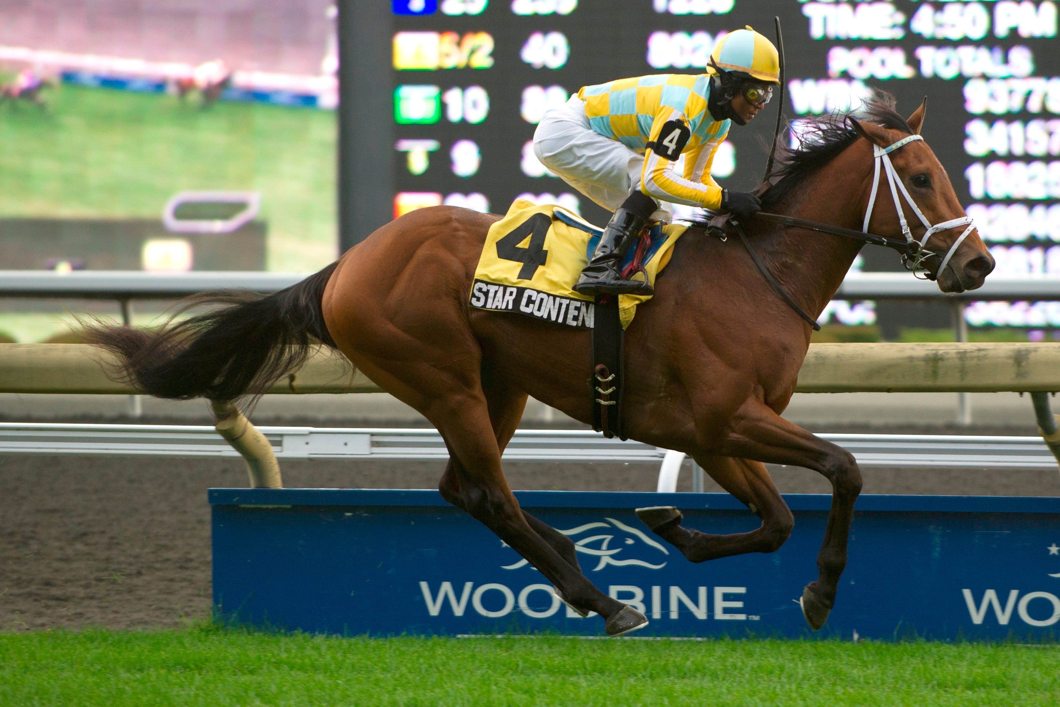 Woodbine: Star Contender takes Cup and Saucer despite eventful stretch run