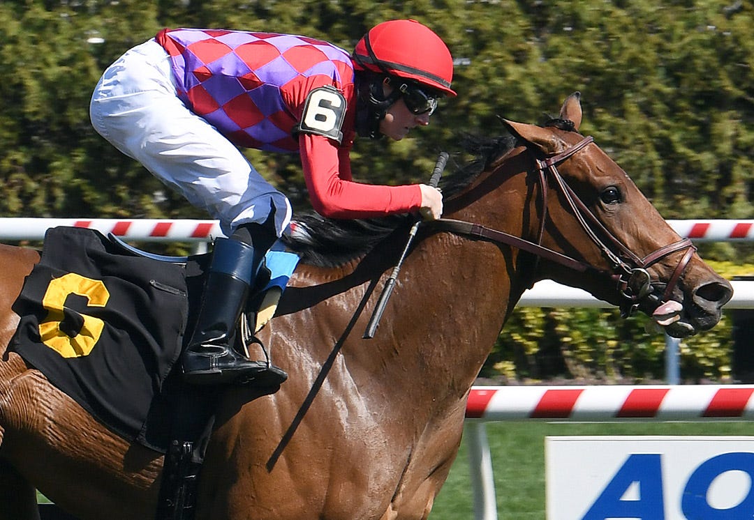 Abreu looking for fast finish from Star Devine in Galway Stakes