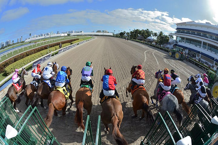 DRF's Horse Racing Playbook for Thursday, August 6, 2020