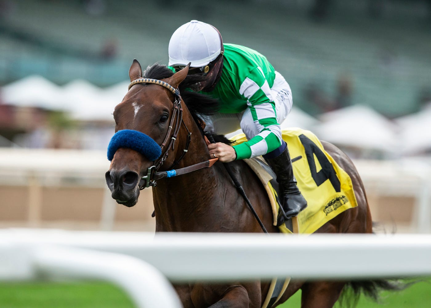 Sword Zorro eases back into racing in allowance race