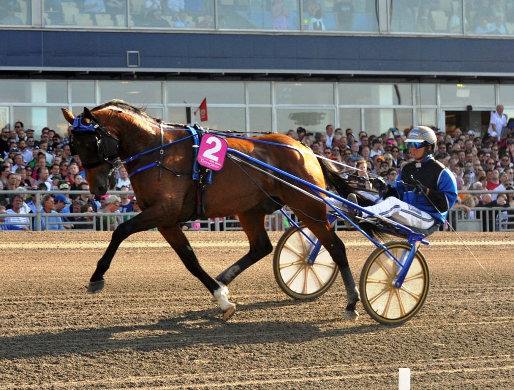 Yonkers: Foreign horses invade U.S. for International Trot
