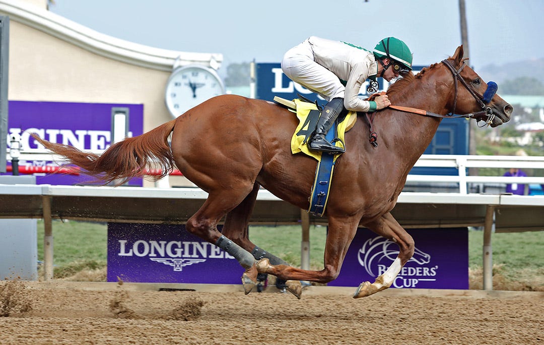 Triple Tap looks to bounce back