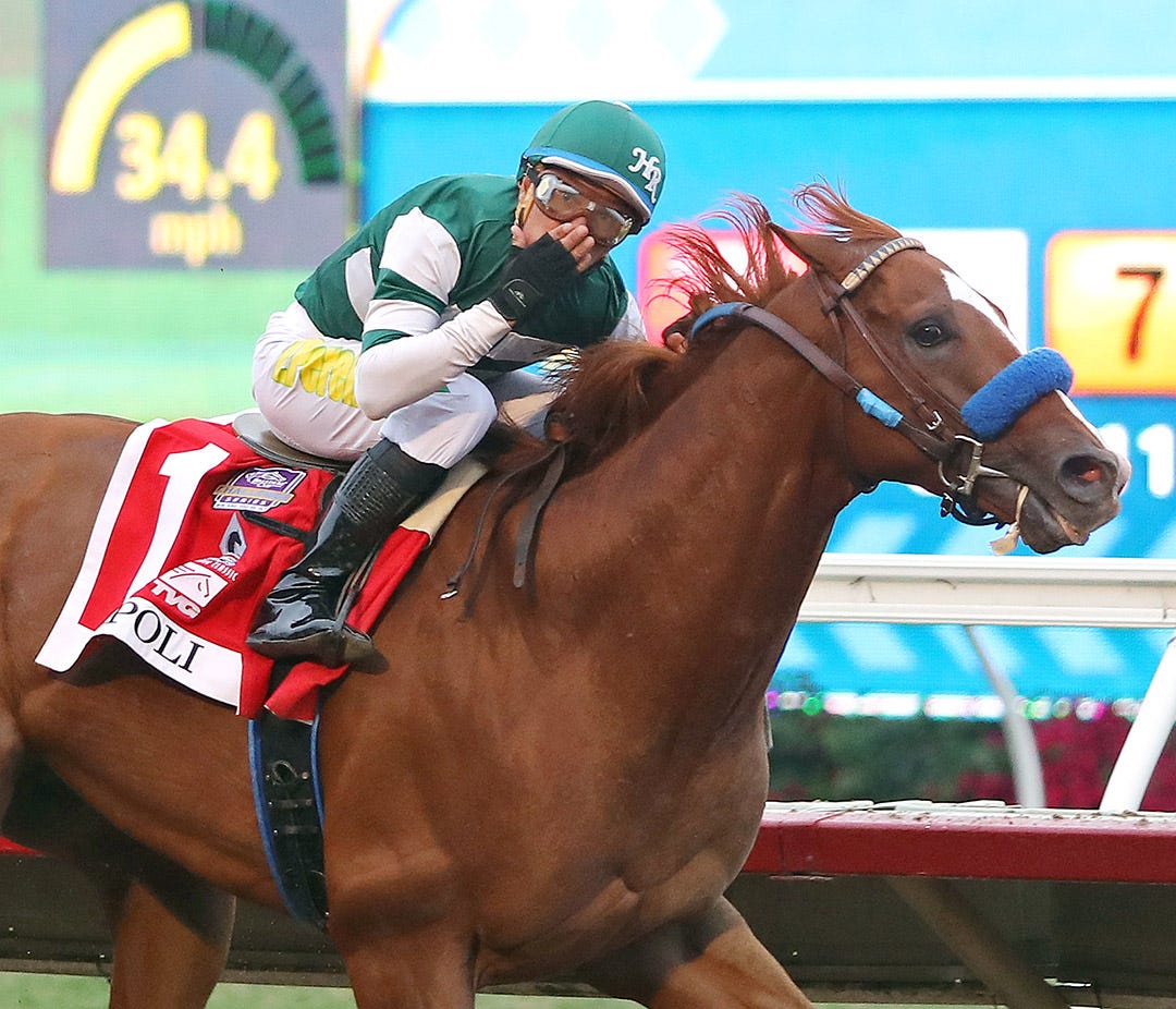 Meeting ends with mandatory picksix payout