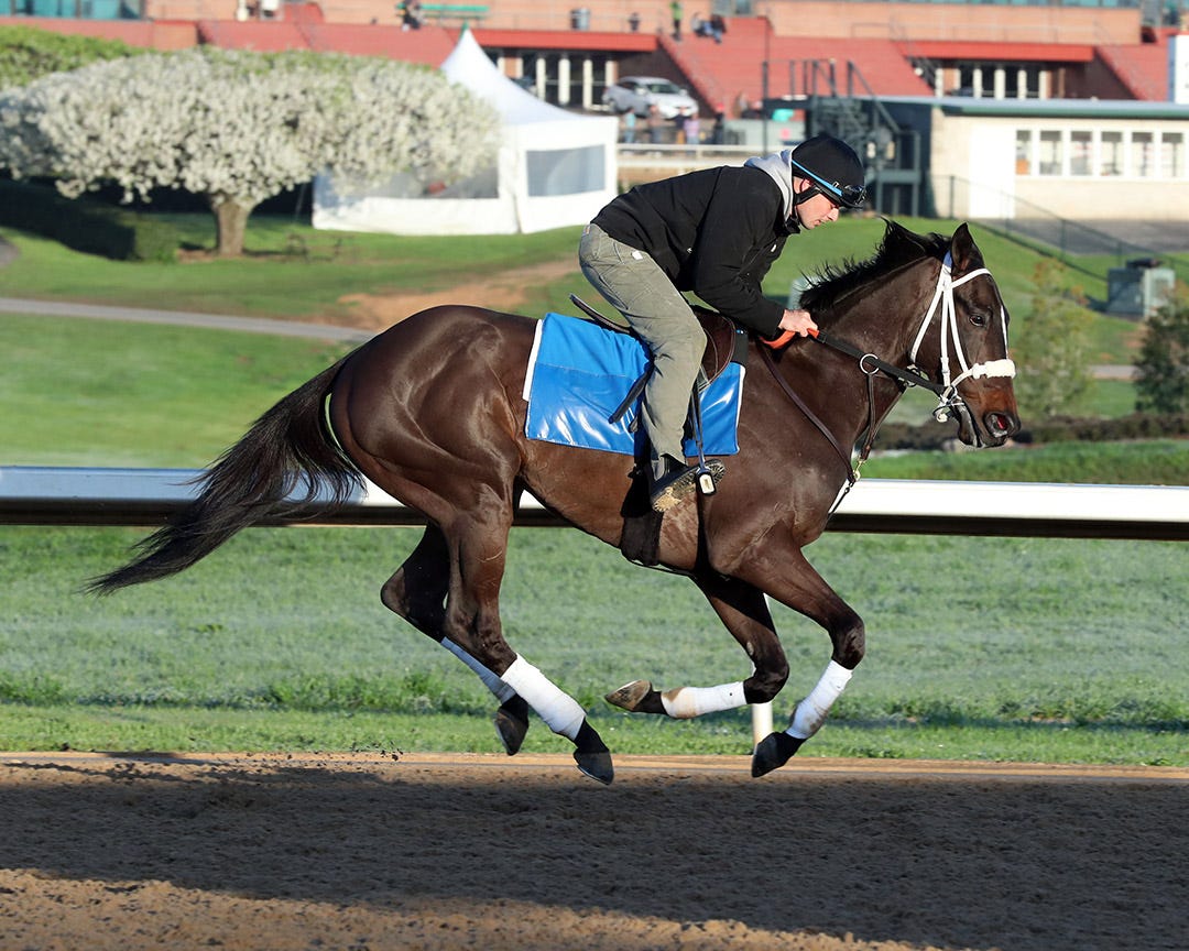 Kentucky Derby Un Ojo has staples removed, set for Saturday work