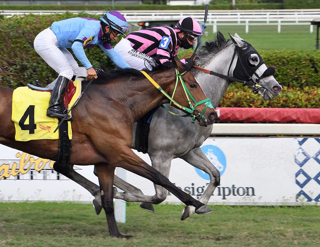 DRF's Horse Racing Playbook for Thursday, July 1, 2021