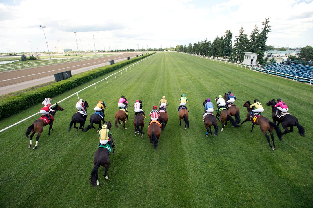 DRF's Horse Racing Playbook for Saturday,