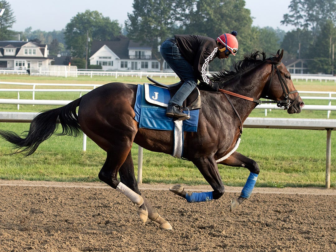 Pick five play for Florida Derby Day at Gulfstream Park