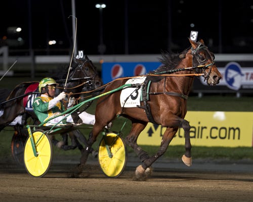 Uncovering the Fastest Trotting Entries Results in the Sport of Fine Taste