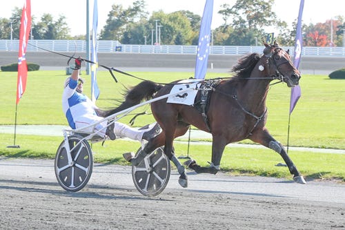 The Thrilling World of Yonkers Race Results: Uncovering the Excitement