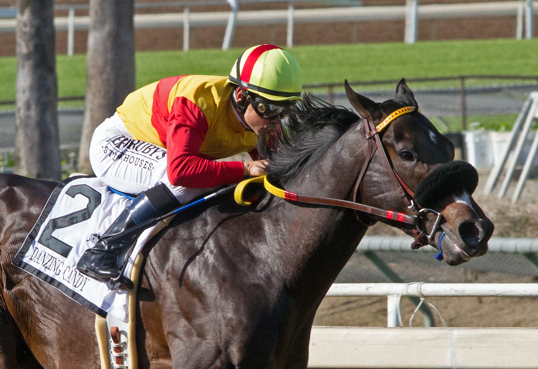 Road to the Derby San Felipe Stakes