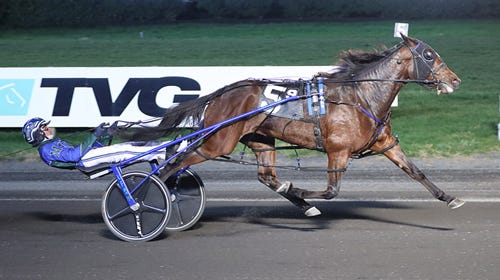 Meadowlands: Grace Hill holds sway in TVG Mares Pace final
