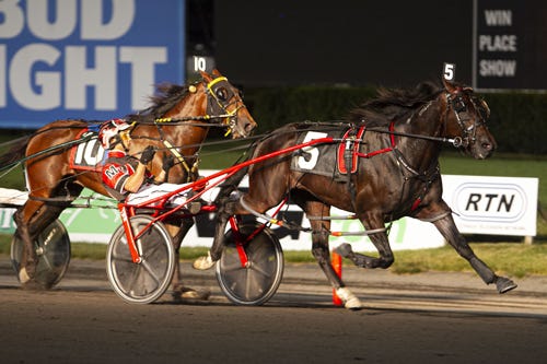 Harness: Ohio stallion trio ready to make some noise in Lexington