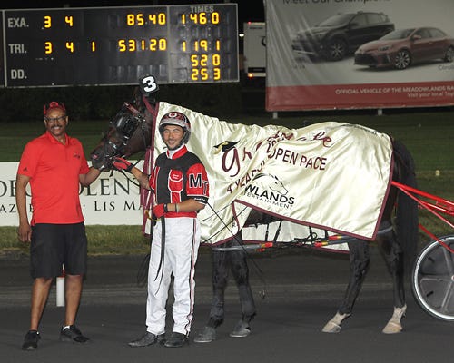 Meadowlands Lather Up Joins Always B Miki As Fastest Horse In Harness