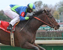 Atie Ruler Native Ruler may return from injury in Iowa Sprint