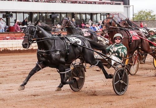 Harness: Horse of the Year debate in full swing