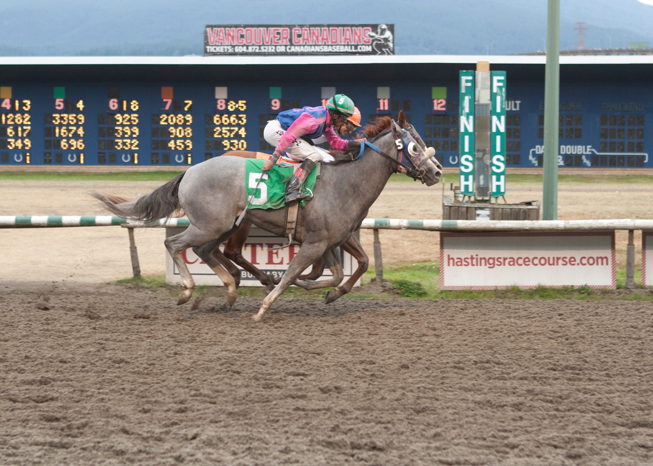 Wonder World by a nose in CTHS Sales Stakes