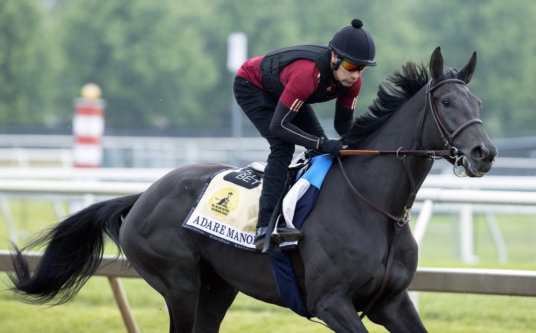 Grade 3 winner Adare Manor adds class to race 7 on Friday, which also attracted the Chilean Group 1 winner Una Chiquitita.