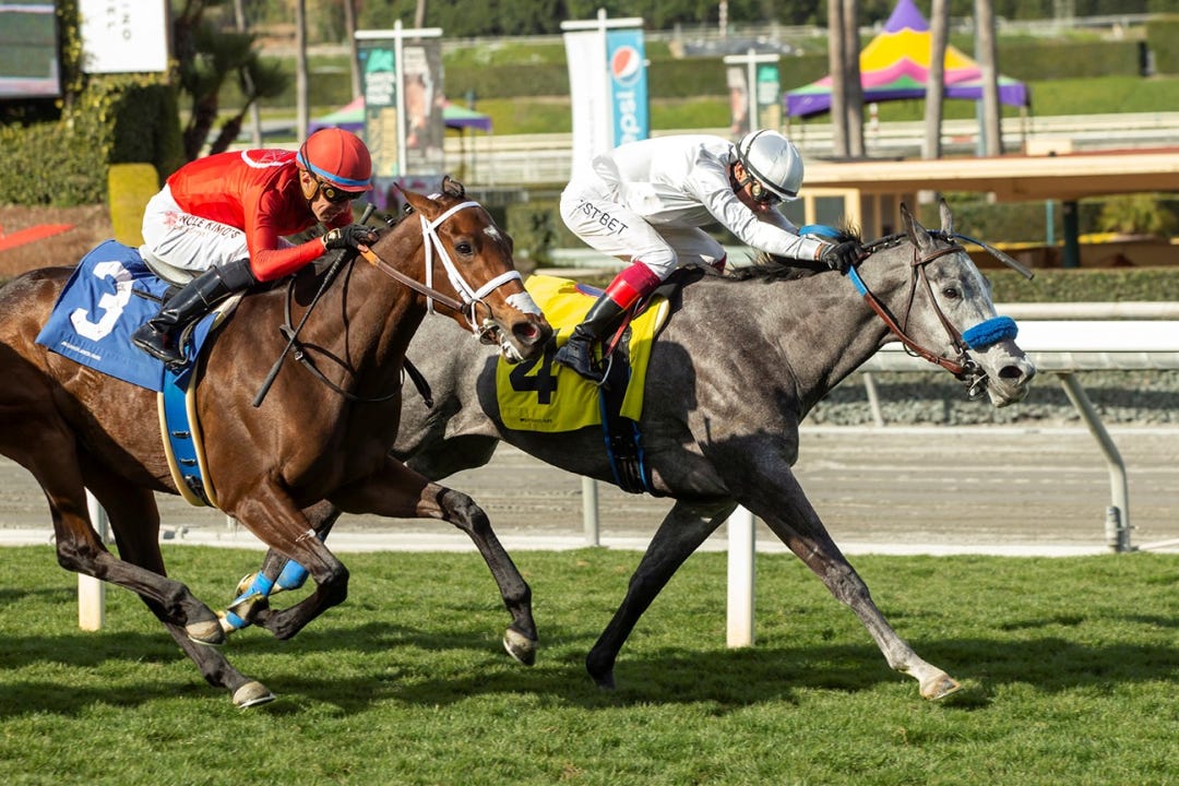 Ag Bullet wins the Lady of Shamrock at SA Feb 12 2023