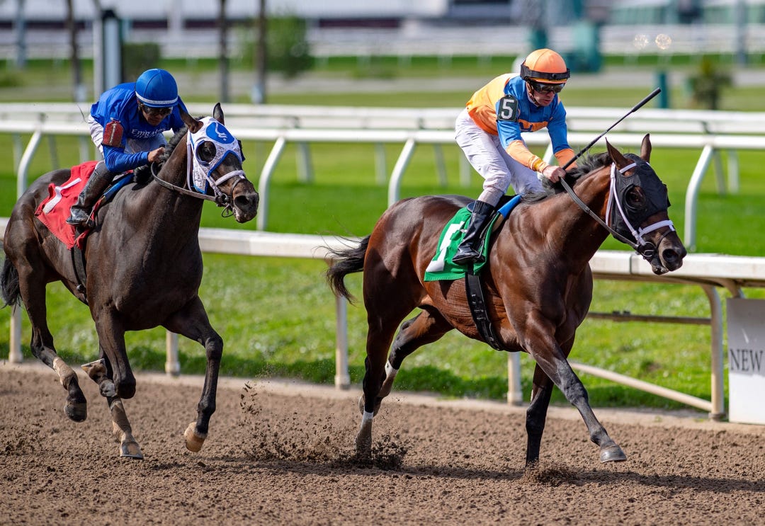 Bishops Bay wins debut at FG Feb 18 2023