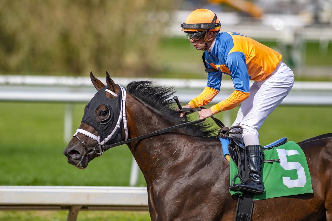 Bishops Bay wins a maiden race over stablemate First Mission on Feb. 18 at Fair Grounds.