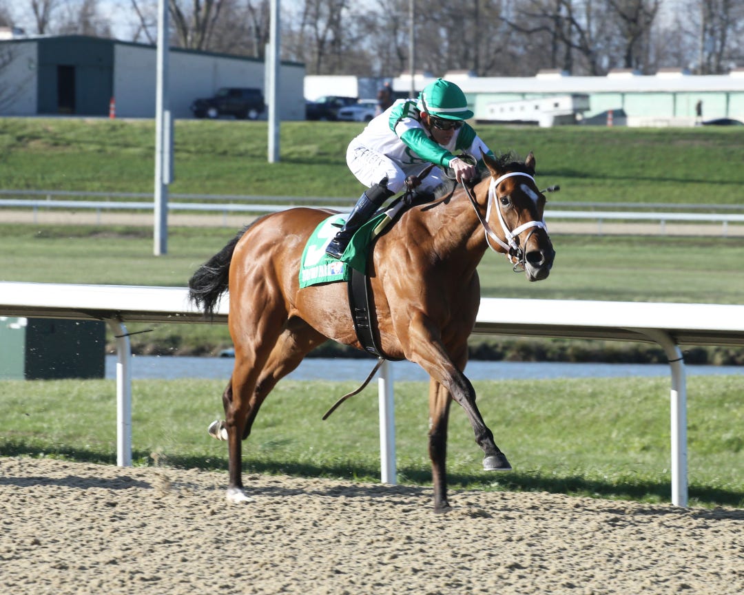 Botanical, ridden by Chris Landeros, wins the Bourbonette Oaks at Turfway on Saturday.Botanical, ridden by Chris Landeros, wins the Bourbonette Oaks at Turfway on Saturday.Botanical, ridden by Chris Landeros, wins the Bourbonette Oaks at Turfway on Saturday.Botanical, ridden by Chris Landeros, wins the Bourbonette Oaks at Turfway on Saturday.Botanical, ridden by Chris Landeros, wins the Bourbonette Oaks at Turfway on Saturday.Botanical, ridden by Chris Landeros, wins the Bourbonette Oaks at Turfway on Satur