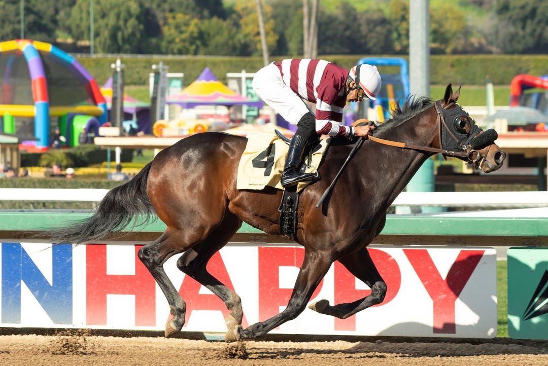 Bus Buzz wins maiden at SA Feb 4 2023