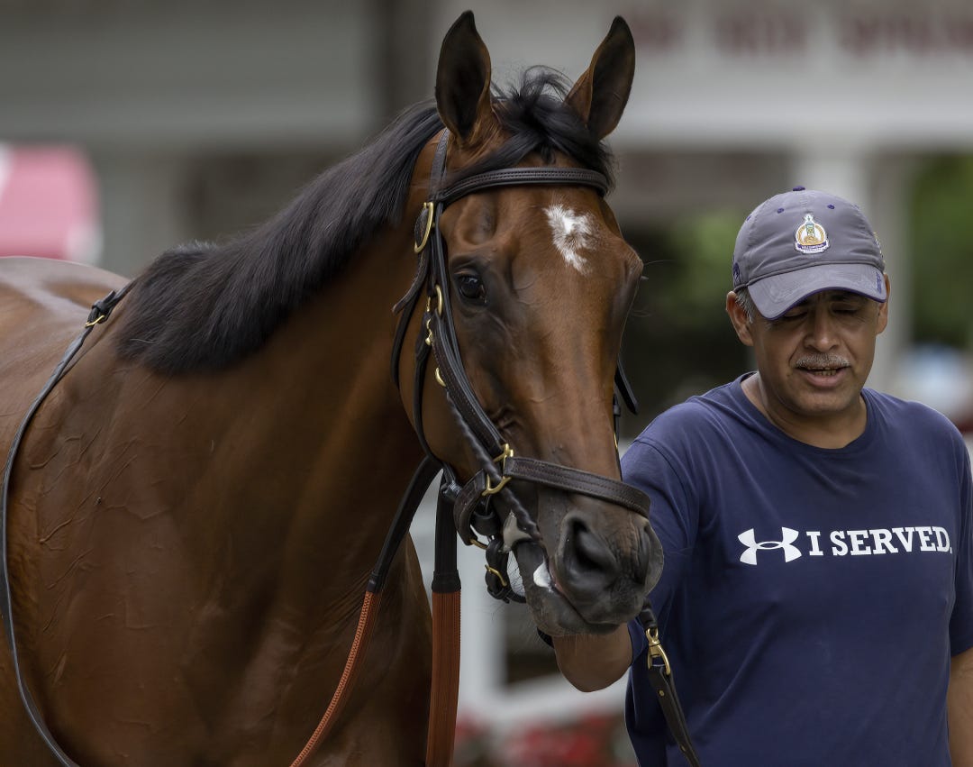 Contemporary Art, who showed stakes potential last year at 3, makes her first start in eight months on Sunday.