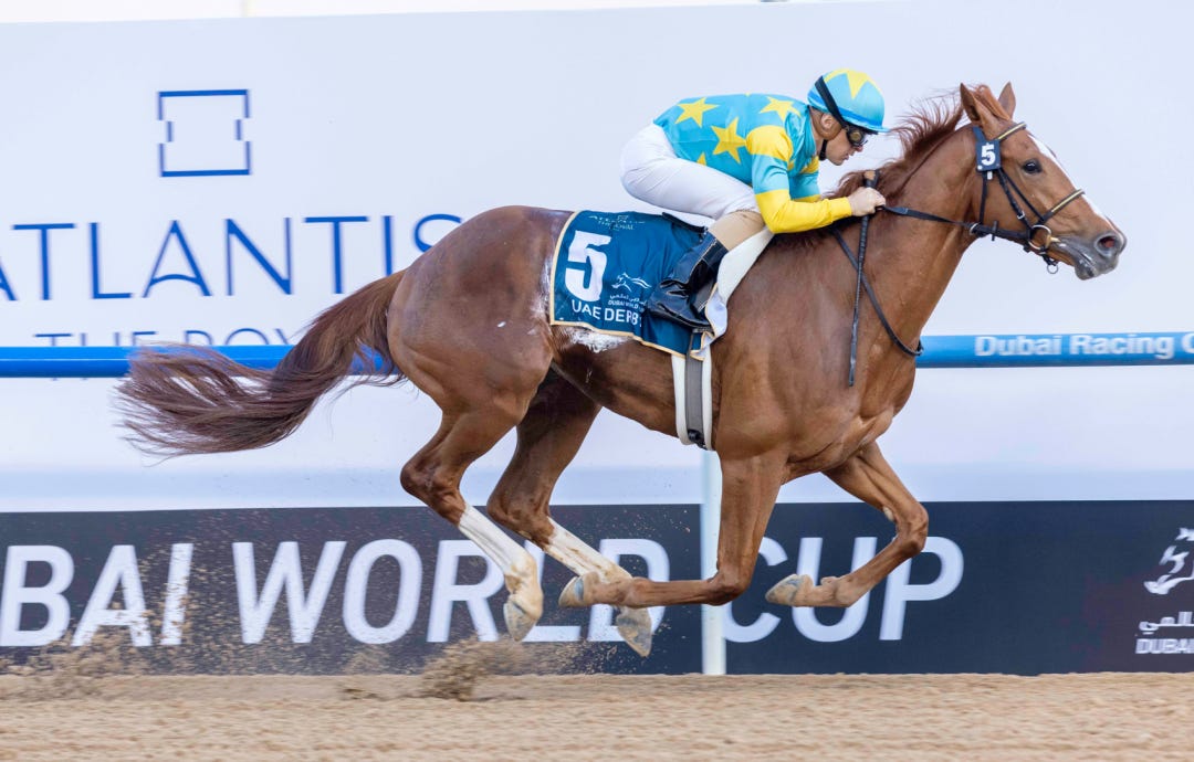 Derma Sotogake, winning the UAE Derby on Saturday at Meydan, is a son of Mind Your Biscuits, a Grade 1-winning sprinter in the U.S. who stands in Japan.