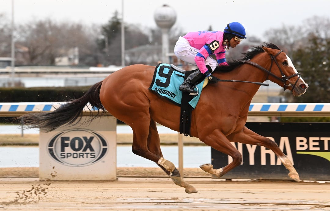 Downtown Mischief wins at AQU Feb.17 2023