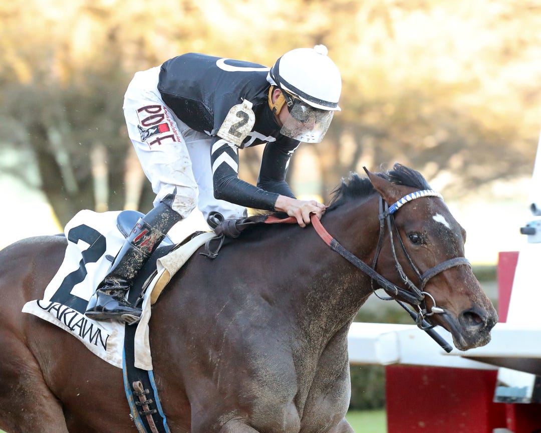 Klassy Bridgette wins the Dixie Belle at OP Feb 11 2023