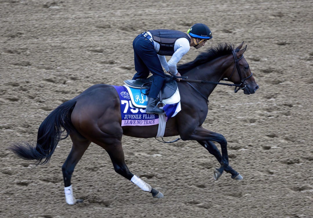 Leave No Trace, who finished second last November in the Breeders' Cup Juvenile Fillies, is recovering from bruised cannon bones and surgery to remove a bone chip in her ankle.