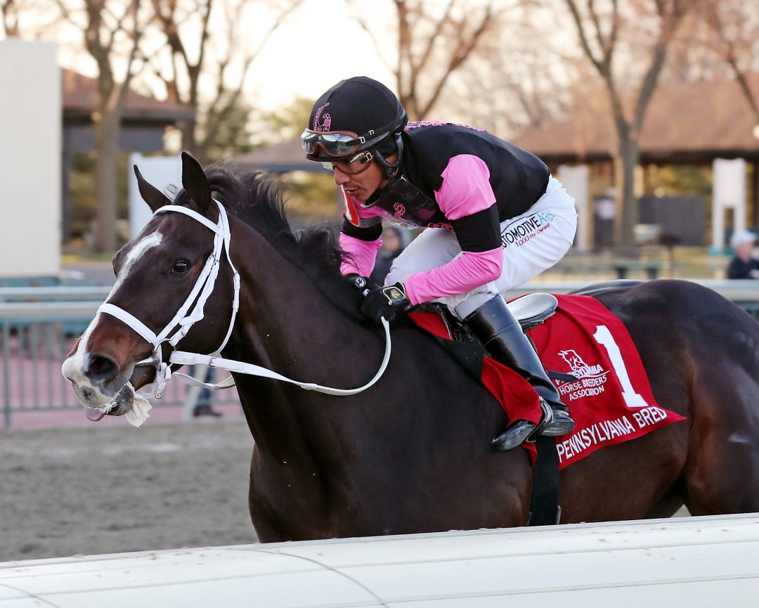 Ninetyprcentmaddie wins the City of Brotherly Love at PRX March 6 2023