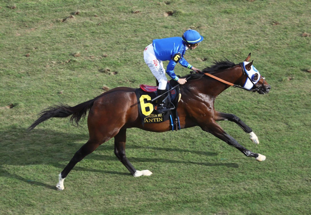 Santin wins Arlington Million at CD Aug 13 2023