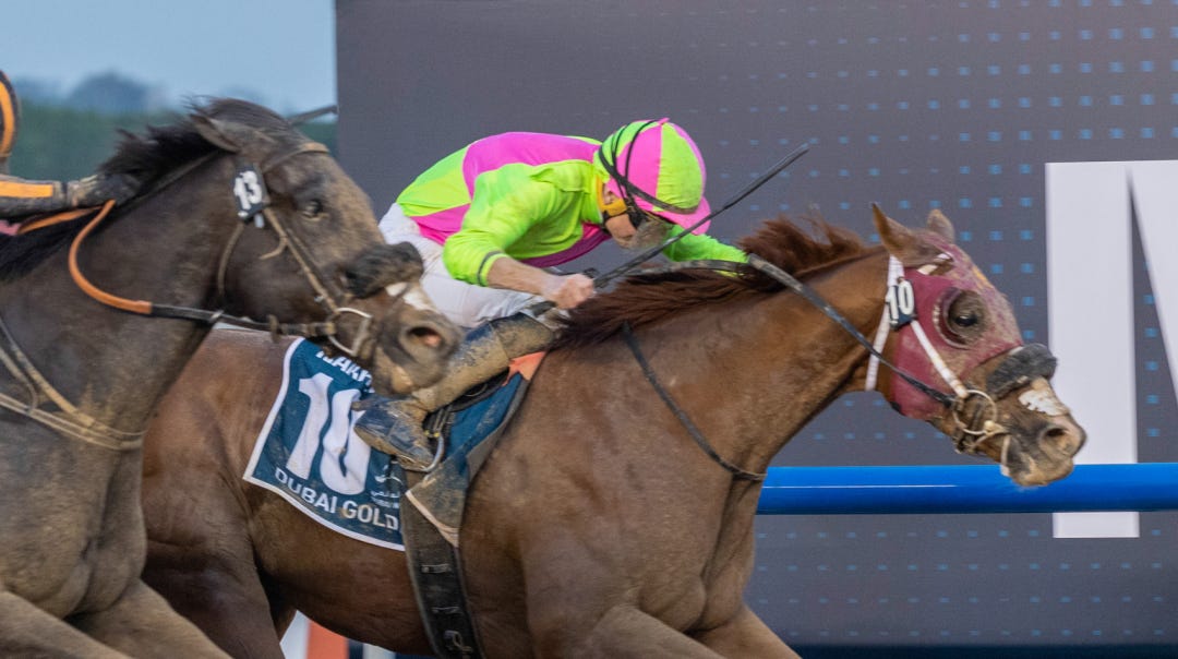 With Ryan Moore working hard on him, Sibelius just denies Switzerland a repeat victory in the Dubai Golden Shaheen on Saturday at Meydan.