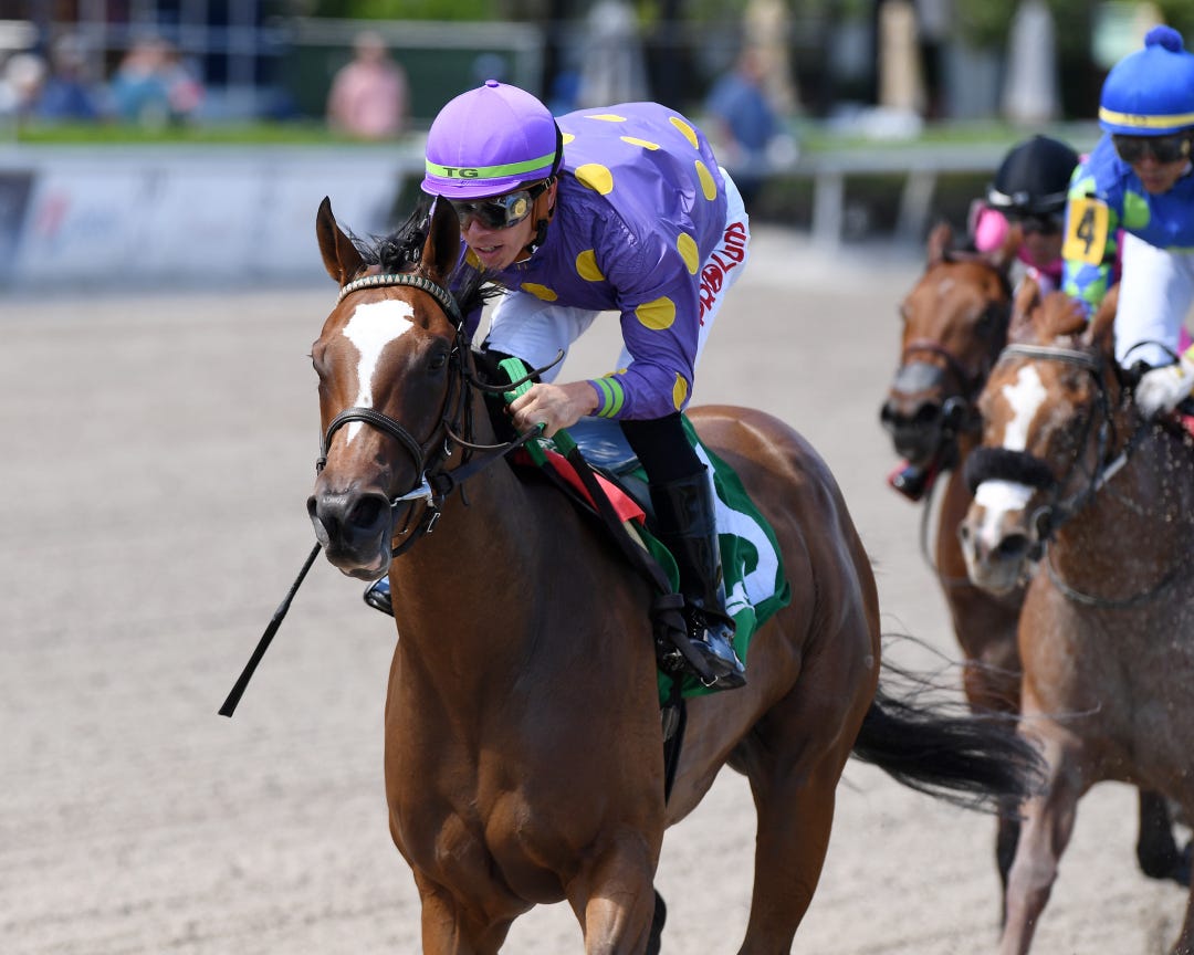 Spirit Wind wins Any Limit Stakes March 19 2022