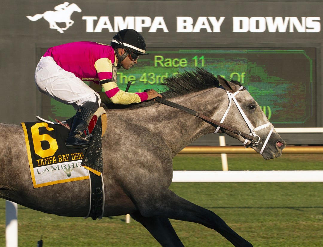 Tapit Trice.Tampa Bay Derby.March 11 2023