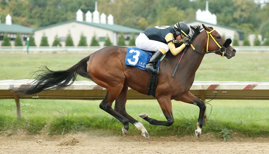 Amadevil wins Scarlet and Gray Handicap at TDN Oct 7 2021