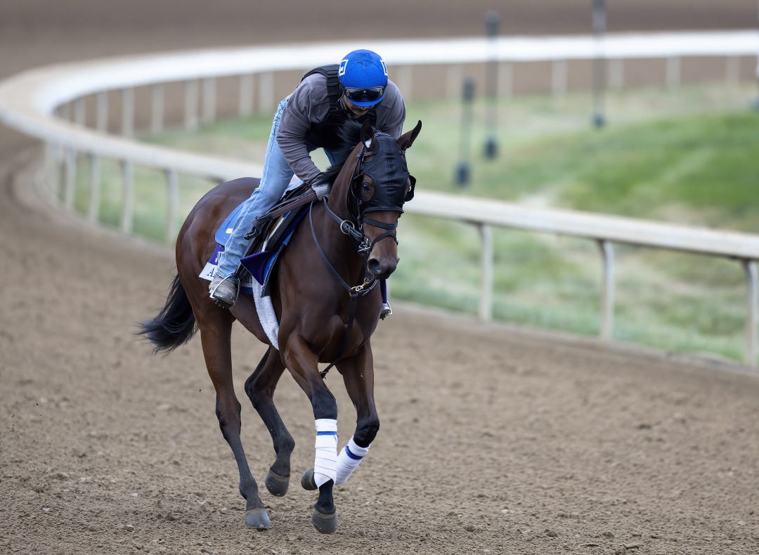 American Apple, winner of the Grade 3 Matron at Aqueduct last year, makes her first start on Friday since running sixth in the Breeders' Cup Juvenile Turf Sprint.